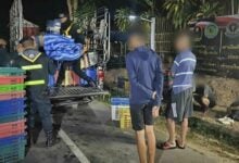 Illegal Myanmar workers found in vegetable crates on Thai border
