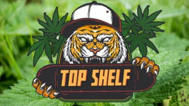 Thaiger Top Shelf Club: A new era for cannabis enthusiasts in Thailand