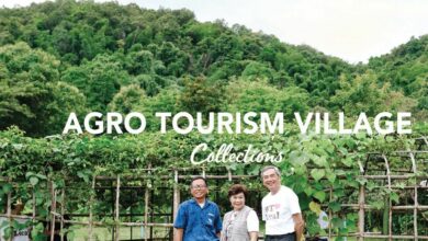 Thailand’s Best-Kept Secret: Agro-Tourism