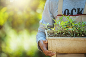 Grow your cannabis network: Top sites & tips for success