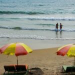 Some common seasonal allergies in Thailand | Thaiger