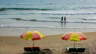 Some common seasonal allergies in Thailand | Thaiger