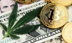 Revolutionising cannabis: The blockchain game-changer