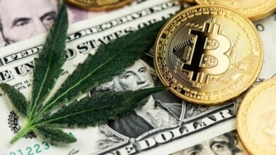 Revolutionising cannabis: The blockchain game-changer