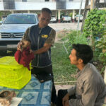 Thai man arrested for selling rare macaques on Facebook | Thaiger