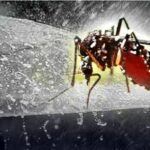 Pandemic alert: 8,197 Thailand dengue cases reported in January | Thaiger