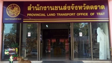 Types of driving licenses in Thailand | Thaiger