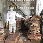 Srettha aims to crush rubber smuggling ring in West Thailand | Thaiger