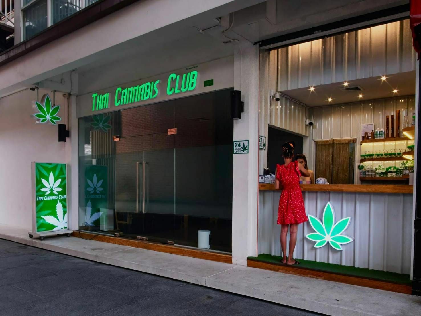 Kako Thai Cannabis Club postavlja standarde za kanabis na Tajlandu |  Vijesti od Thaiger
