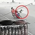 Monkey food theft leads to motorcycle mishap in Lop Buri (video) | Thaiger