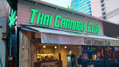 How Thai Cannabis Club sets the standard for cannabis in Thailand