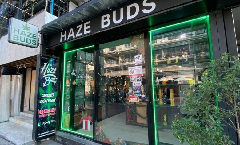 Haze Buds