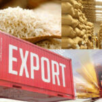 Thailand apologises to India for comments on rice export policy | Thaiger