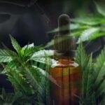 Thailand tokes on new approach: CBD-infused Marijuana oil to fight drug addiction | Thaiger