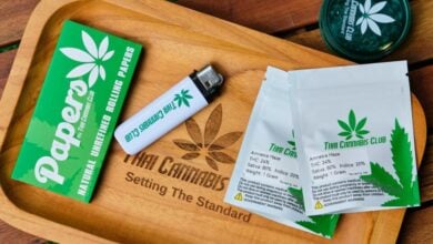 Top 10 cannabis dispensaries in Thailand