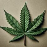 Most explored cannabis friendly activities in Thailand | Thaiger