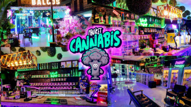 Dive into Phuket Cannabis’s diverse strain paradise with an exclusive deal