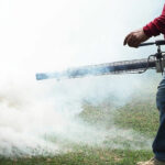 Health Ministry warns against dengue fever crisis: 25 fatalities | Thaiger