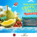 Feast on the freshest Thai fruit at &#8216;Siam Paragon Tropical Fruit Parade 2024&#8217; | Thaiger