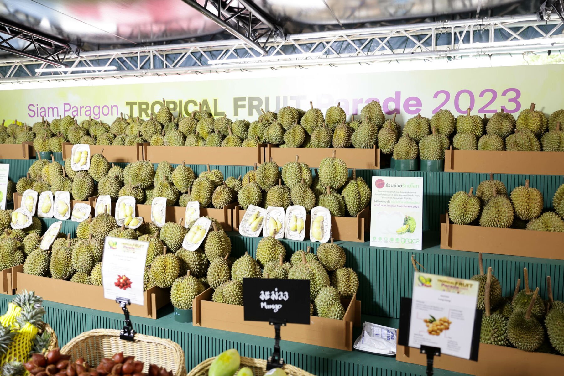 Siam paragon fruit