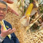 Thailand targets global animal feed market | Thaiger