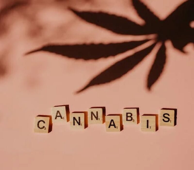 Hvordan brukes cannabis i ayurvedisk medisin |  Nyheter av Thaiger