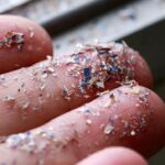 Study exposes widespread microplastics in food | Thaiger