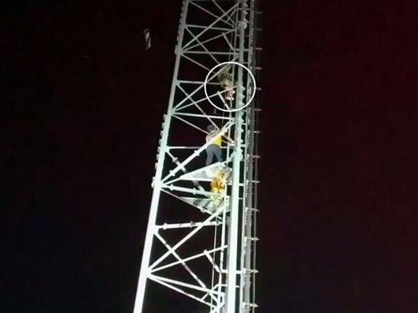 Pattaya 5 Dejected woman climbs telephone pole over financial dispute copy