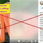 Papaya seed cancer cure hoax debunked by health experts | Thaiger
