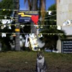 South Korean man&#8217;s cat-killing spree lands him in prison | Thaiger