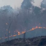 Chiang Rai province battles wildfire | Thaiger