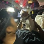 Man high on marijuana crashes car, cuddles pets &#038; smiles at cops | Thaiger