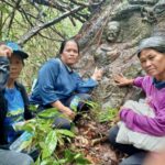 Mushroom foragers uncover ancient carvings in Buriram forest | Thaiger
