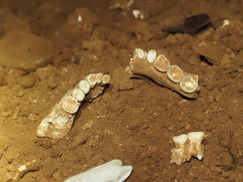 Ancient human remains and tools found in Satun’s Khao Khom Cave