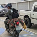 Monitor lizard sparks electricity office chaos in Thailand | Thaiger