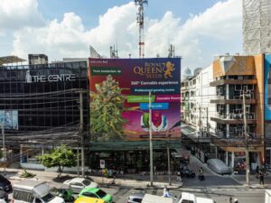 Best dispensaries in Bangkok 2024