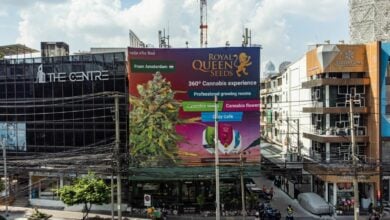 Best dispensaries in Bangkok 2024