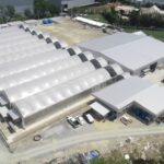 Why you should consider sun-grown cannabis | Thaiger