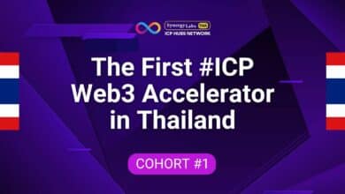 SynergyLabs ICP Hub accelerator program 2024: Empowering Web3 projects