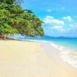 Koh Kradan&#8217;s iconic driftwood becomes top photo spot | Thaiger