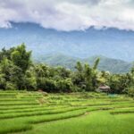 How will climate change affect Thailand in the future | Thaiger