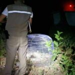 Human remains in Chon Buri backyard sparks investigation | Thaiger