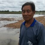 Nakhon Ratchasima farmers wade through &#8216;rice-crisis&#8217; as floods surge | Thaiger