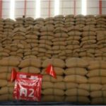 Fears mount as Thailand’s 10 year old rice set to hit Nigeria | Thaiger