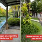 London couple &#8216;blown away&#8217; by resort-like Thai airport (video) | Thaiger