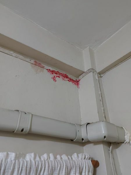 Mysterious red stain in dorm room sparks viral humour online | News by Thaiger