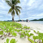 Cabinet&#8217;s coastal crusade: 3 notifications to protect Andaman Sea | Thaiger