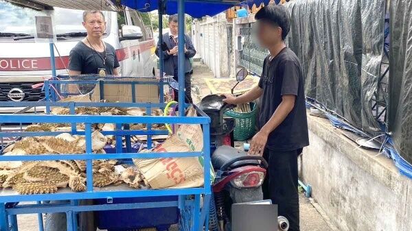 Immigration’s fruitful swoop on illegal vendors selling durians