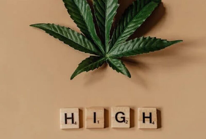 Signs you are taking too much cannabis | News by Thaiger