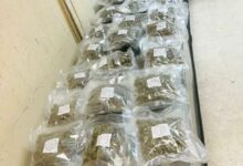 Man with cannabis on AirAsia flight arrested at Sri Lanka Airport